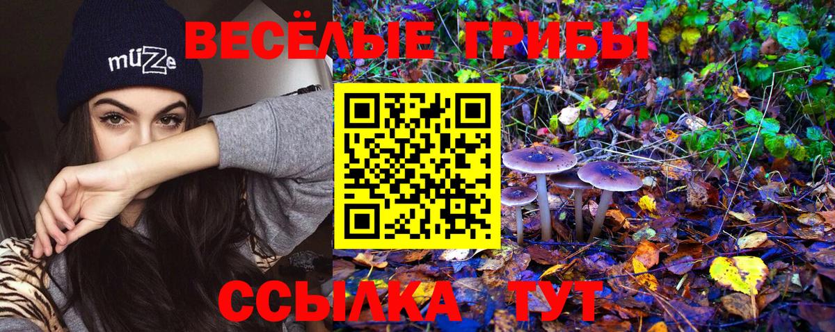Архангельск  Галлюциногенные грибы Psilocybine cubensis  дарнет шоп  Вход с VPN 